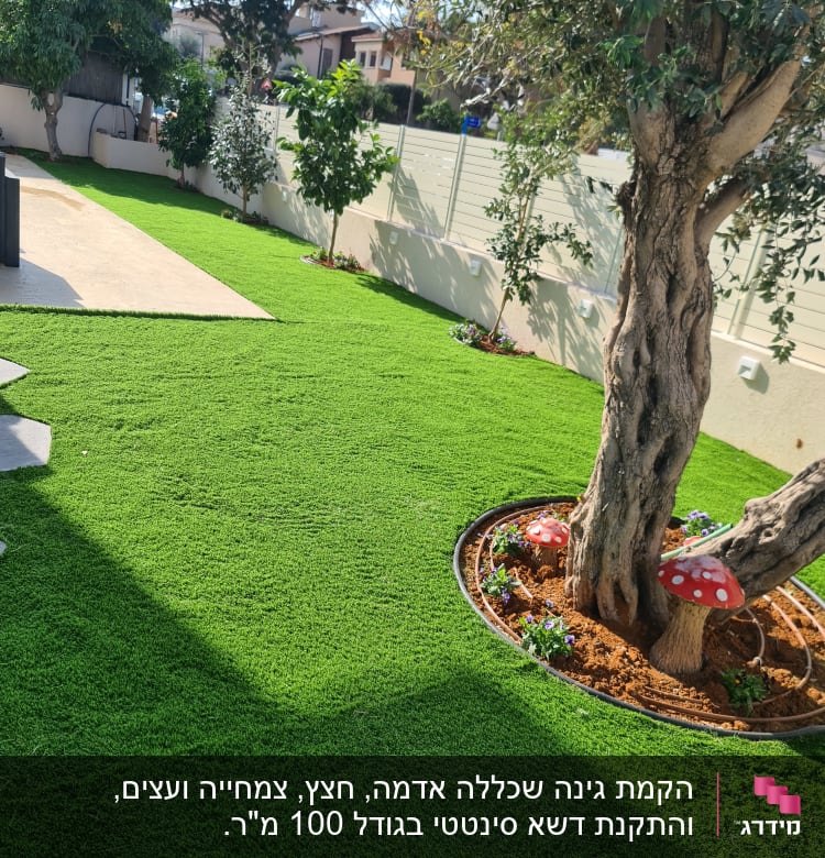 עץ גדול עם דשא מלאכותי ופטריות דקורטיביות בגינה